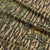 Swamp Country / M
