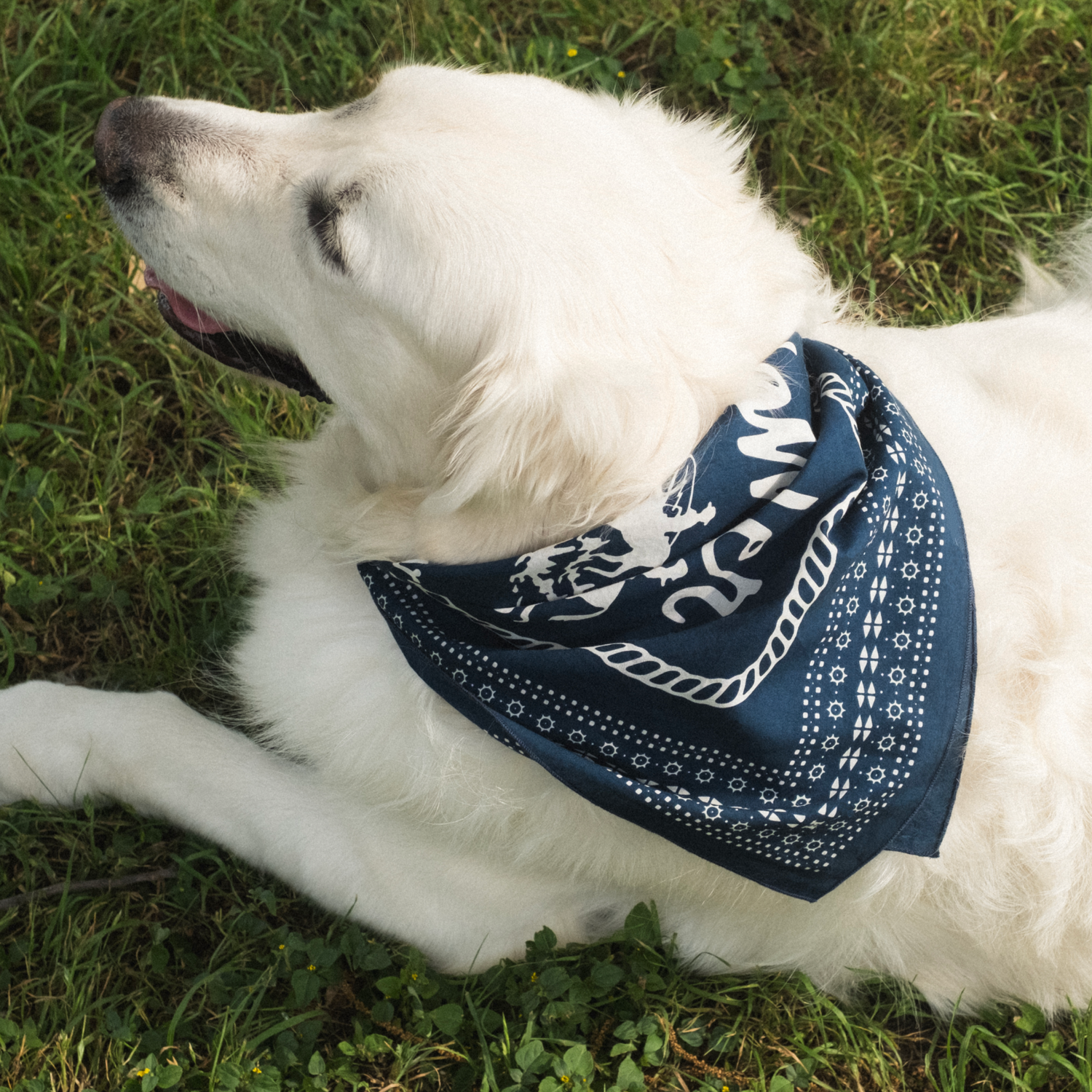 Howler Posse Bandana