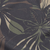 Tropic Noir : Antique Black / S